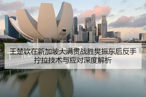 王楚钦在新加坡大满贯战胜樊振东后反手拧拉技术与应对深度解析