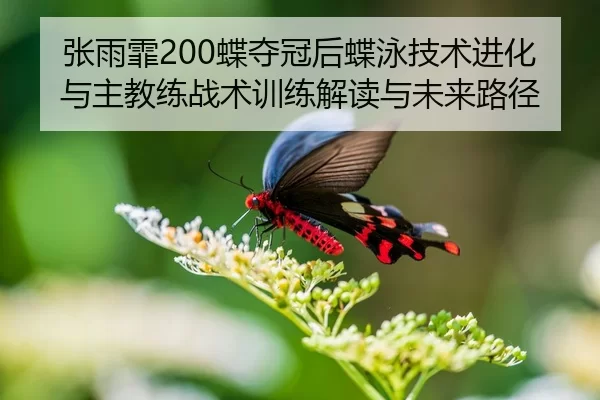 张雨霏200蝶夺冠后蝶泳技术进化与主教练战术训练解读与未来路径